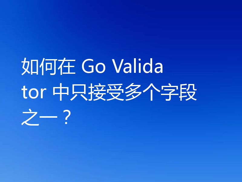 如何在 Go Validator 中只接受多个字段之一？