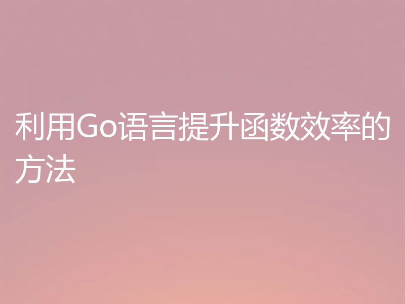 利用Go语言提升函数效率的方法