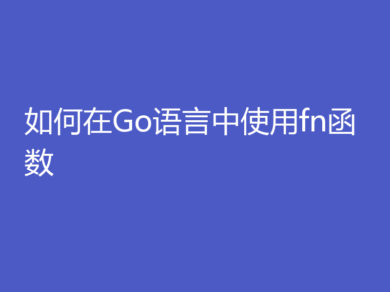如何在Go语言中使用fn函数