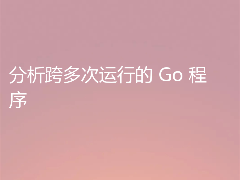 分析跨多次运行的 Go 程序