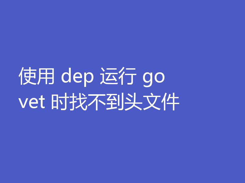 使用 dep 运行 go vet 时找不到头文件
