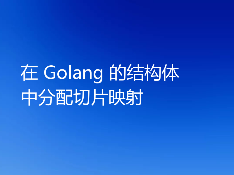 在 Golang 的结构体中分配切片映射