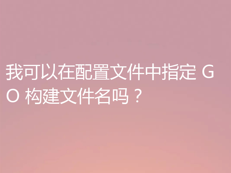 我可以在配置文件中指定 GO 构建文件名吗？