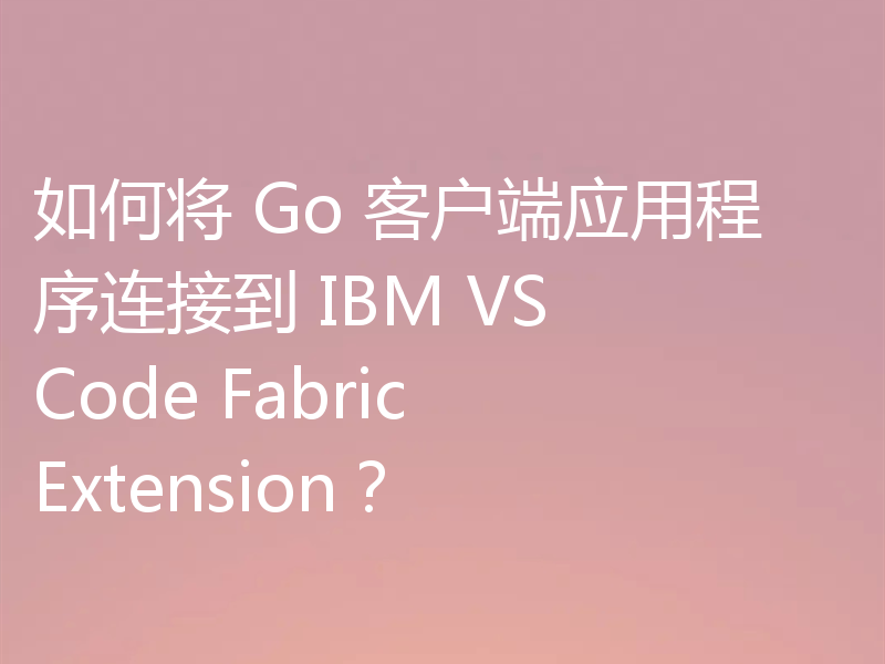 如何将 Go 客户端应用程序连接到 IBM VS Code Fabric Extension？