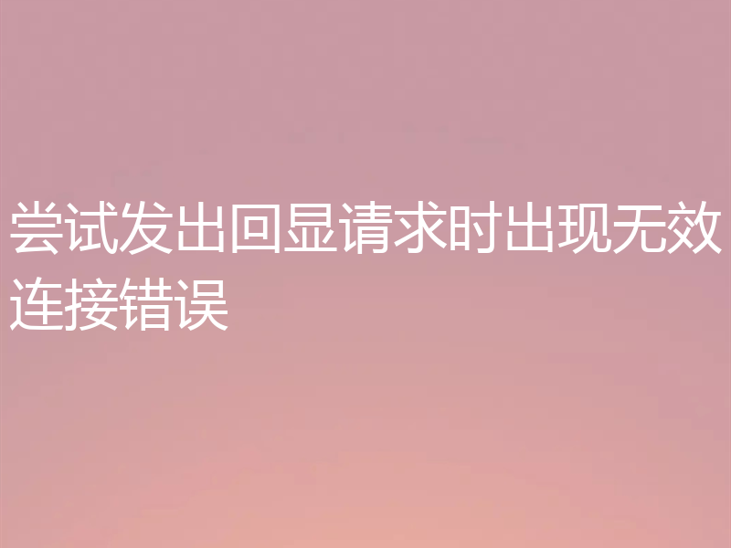尝试发出回显请求时出现无效连接错误