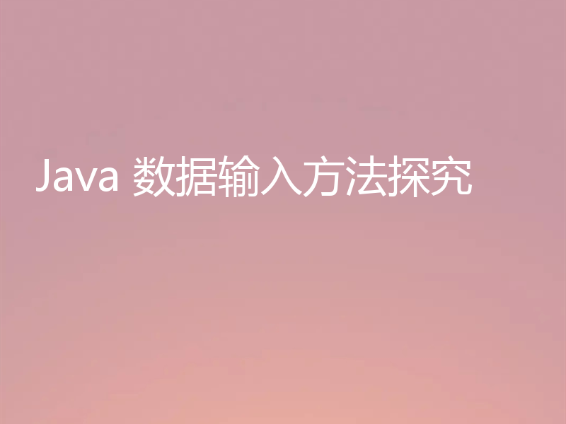Java 数据输入方法探究