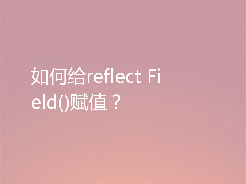 如何给reflect Field()赋值？