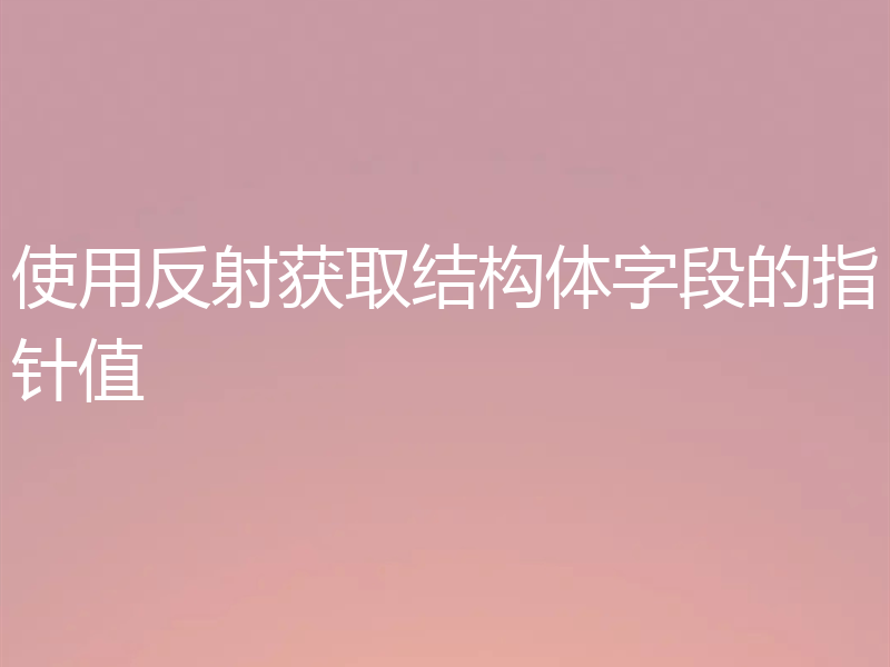 使用反射获取结构体字段的指针值