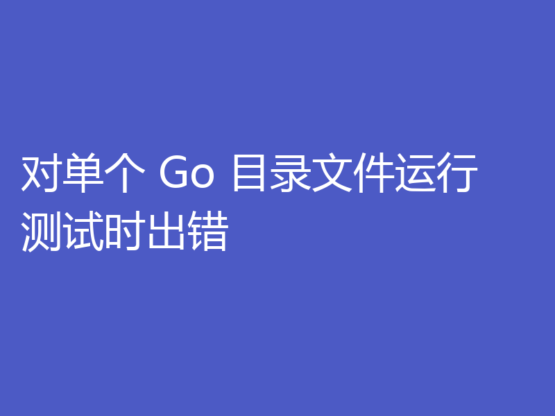 对单个 Go 目录文件运行测试时出错