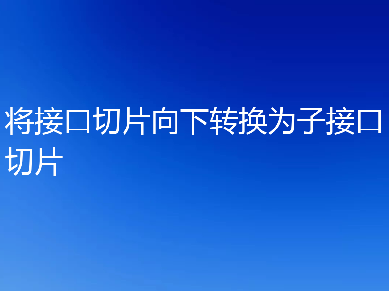 将接口切片向下转换为子接口切片