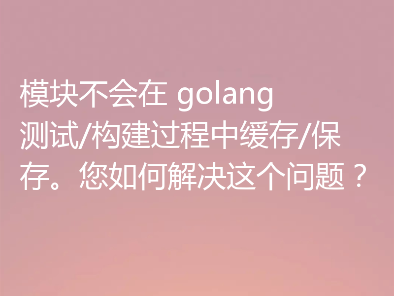 模块不会在 golang 测试/构建过程中缓存/保存。您如何解决这个问题？