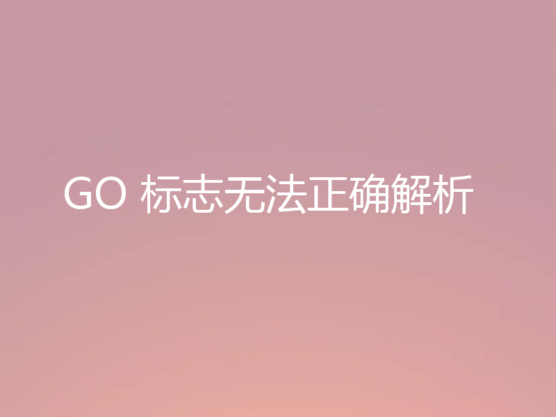 GO 标志无法正确解析