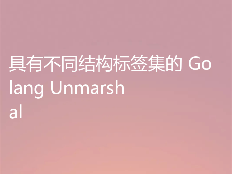 具有不同结构标签集的 Golang Unmarshal