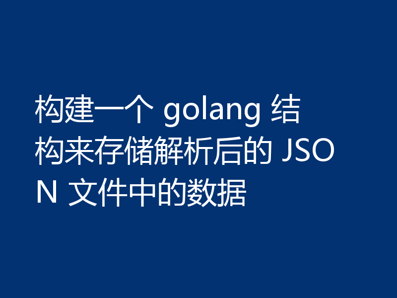 构建一个 golang 结构来存储解析后的 JSON 文件中的数据