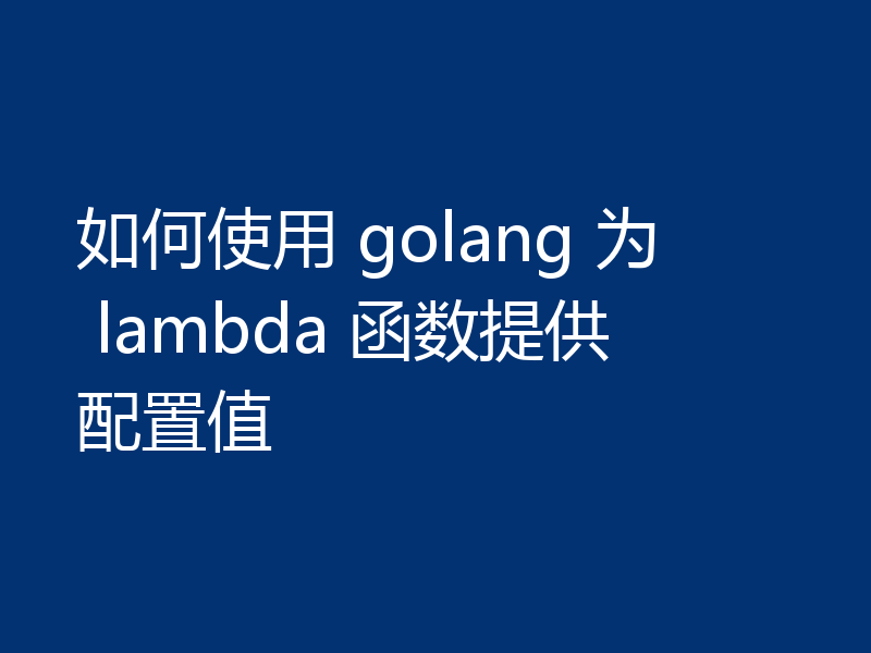 如何使用 golang 为 lambda 函数提供配置值