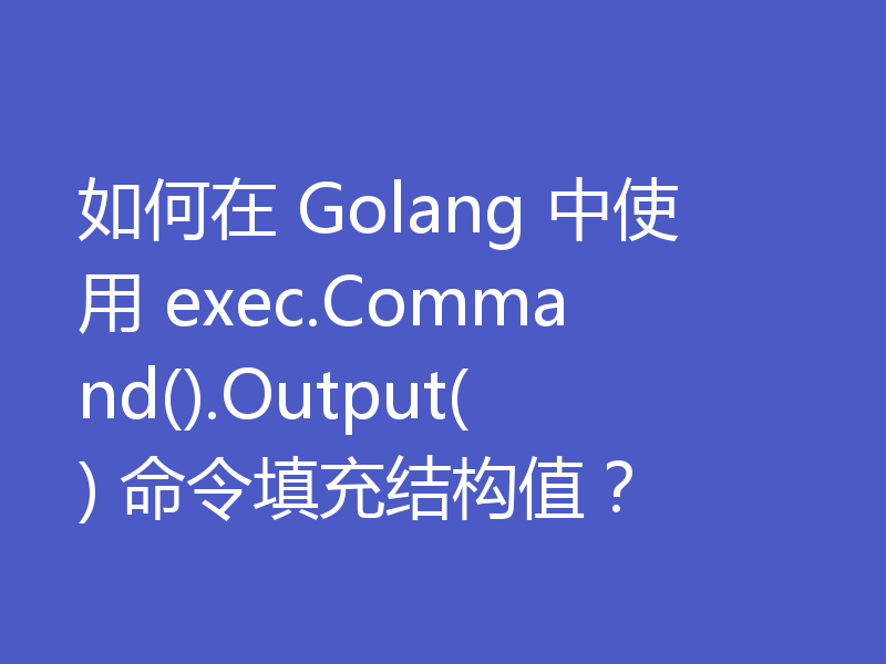 如何在 Golang 中使用 exec.Command().Output() 命令填充结构值？