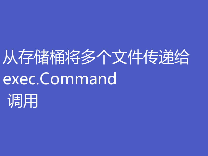 从存储桶将多个文件传递给 exec.Command 调用