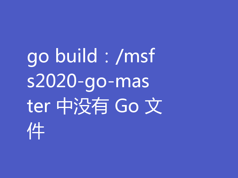 go build：/msfs2020-go-master 中没有 Go 文件