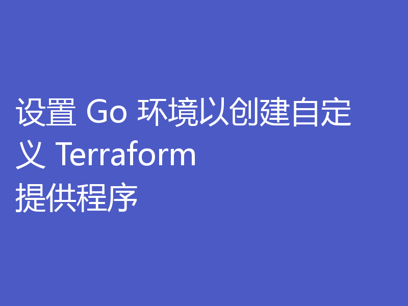 设置 Go 环境以创建自定义 Terraform 提供程序