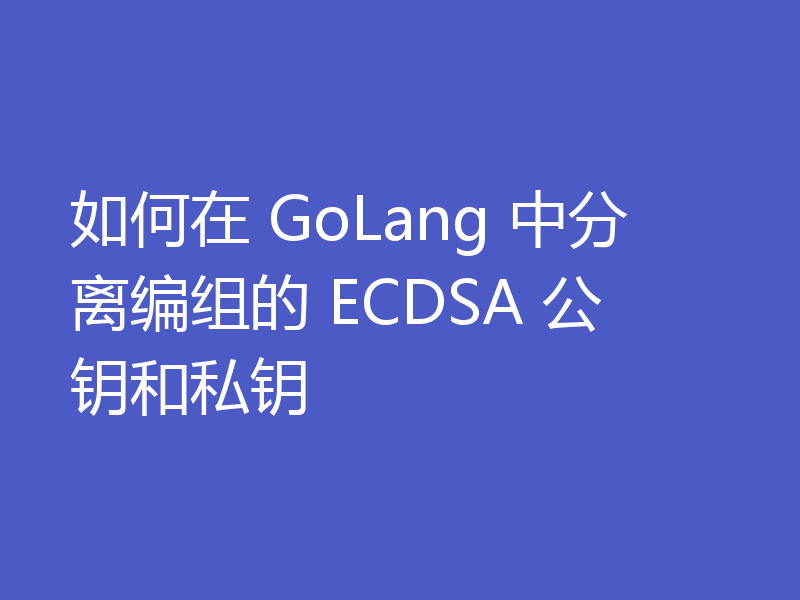 如何在 GoLang 中分离编组的 ECDSA 公钥和私钥