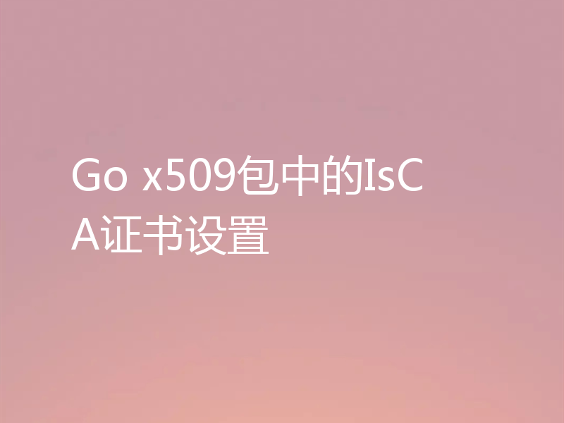 Go x509包中的IsCA证书设置
