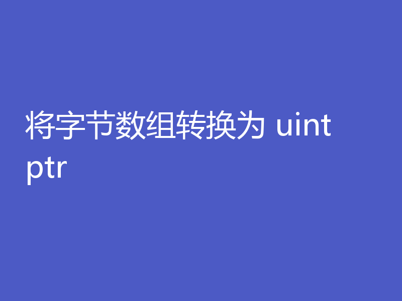 将字节数组转换为 uintptr