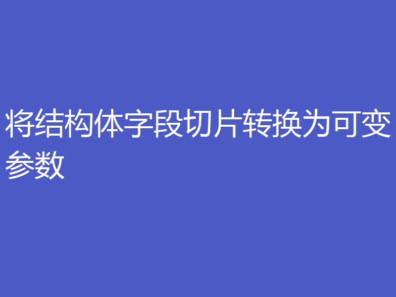 将结构体字段切片转换为可变参数