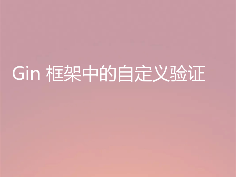 Gin 框架中的自定义验证