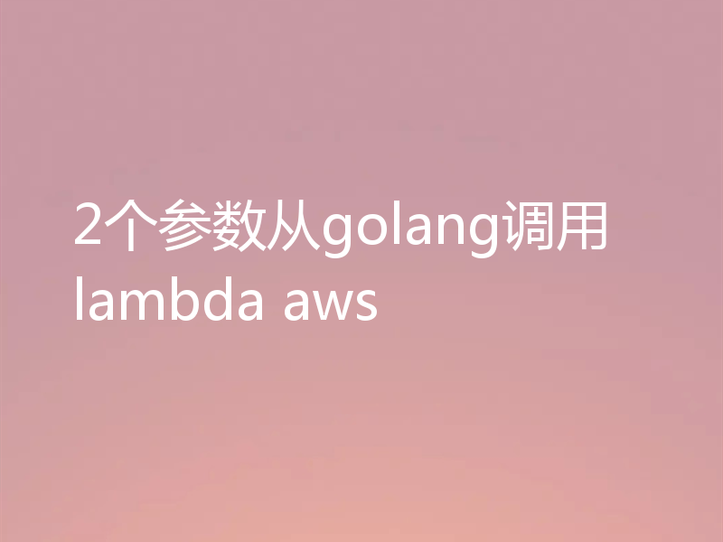 2个参数从golang调用lambda aws