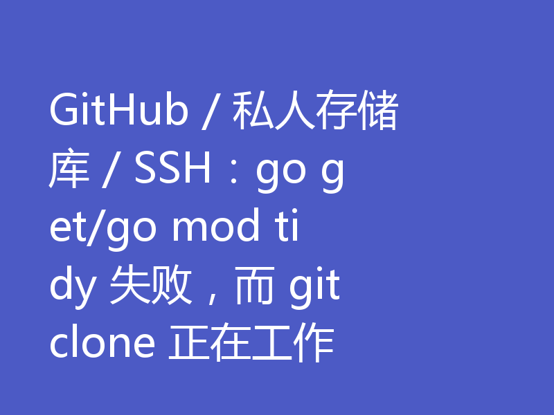 GitHub / 私人存储库 / SSH：go get/go mod tidy 失败，而 git clone 正在工作