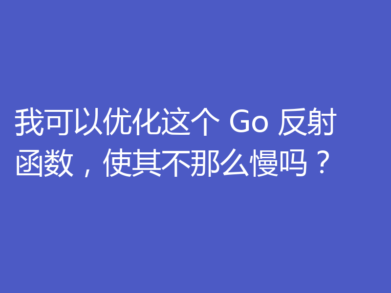我可以优化这个 Go 反射函数，使其不那么慢吗？