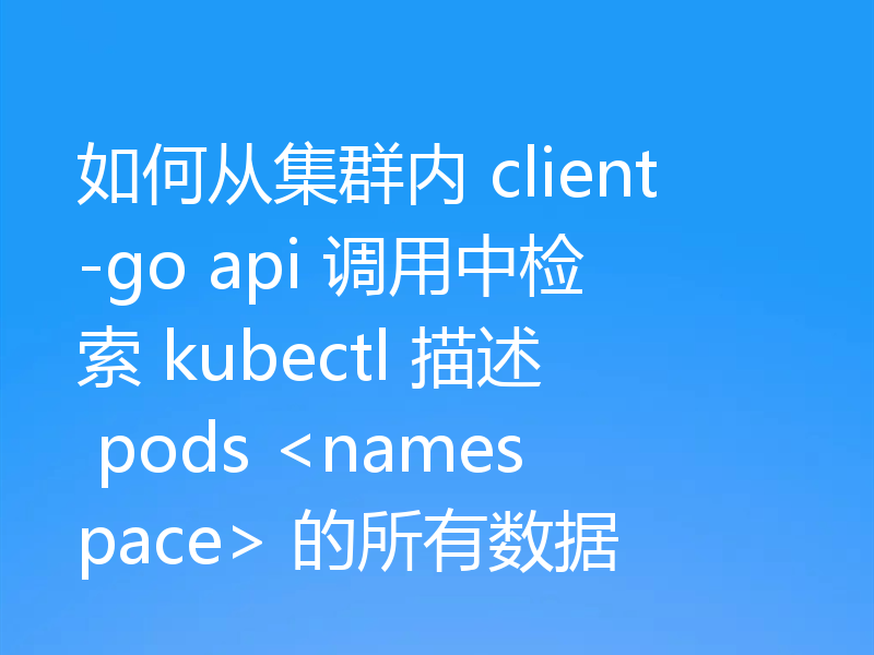 如何从集群内 client-go api 调用中检索 kubectl 描述 pods <namespace> 的所有数据
