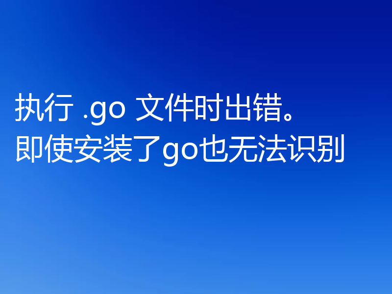 执行 .go 文件时出错。即使安装了go也无法识别