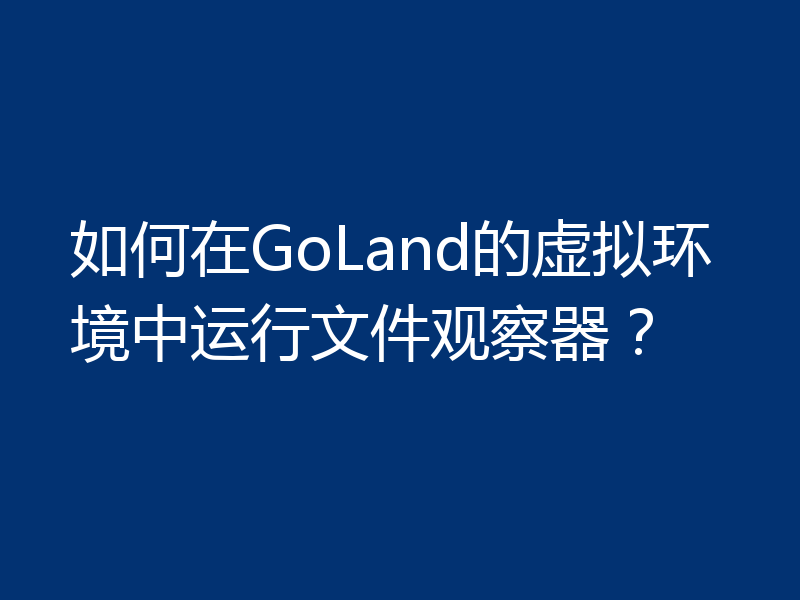 如何在GoLand的虚拟环境中运行文件观察器？