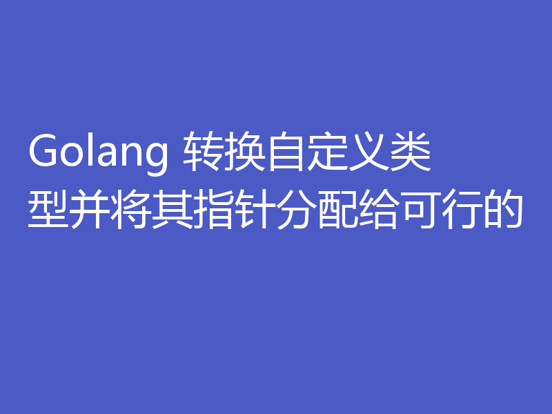 Golang 转换自定义类型并将其指针分配给可行的