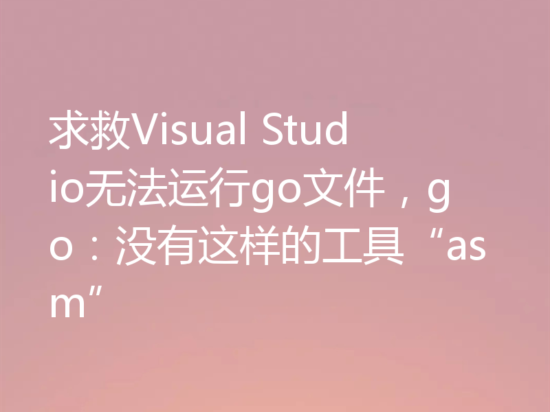 求救Visual Studio无法运行go文件，go：没有这样的工具“asm”