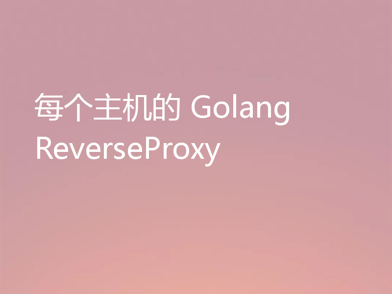 每个主机的 Golang ReverseProxy