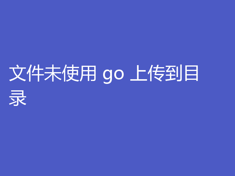 文件未使用 go 上传到目录
