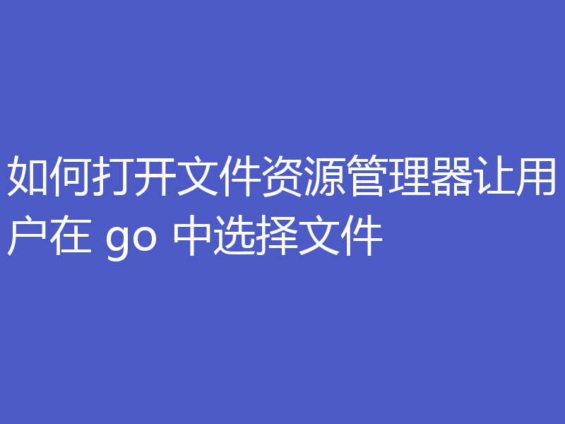 如何打开文件资源管理器让用户在 go 中选择文件