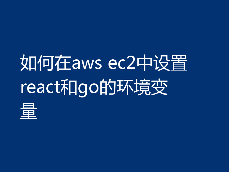 如何在aws ec2中设置react和go的环境变量
