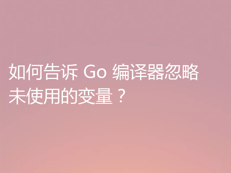 如何告诉 Go 编译器忽略未使用的变量？