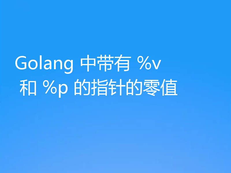 Golang 中带有 %v 和 %p 的指针的零值