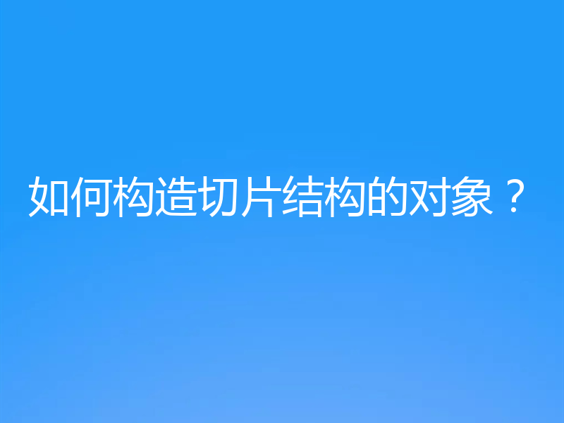 如何构造切片结构的对象？