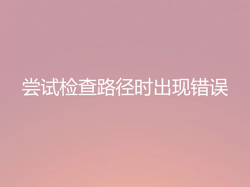尝试检查路径时出现错误