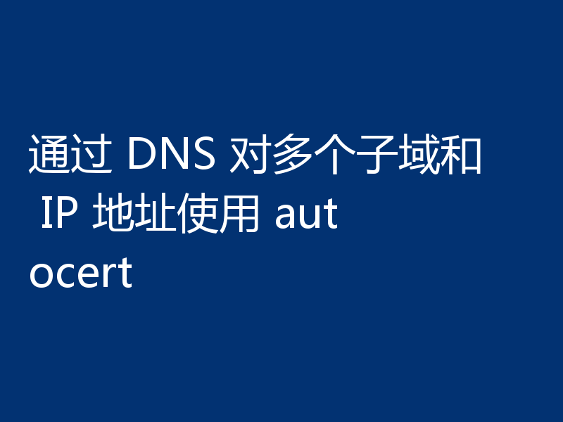 通过 DNS 对多个子域和 IP 地址使用 autocert
