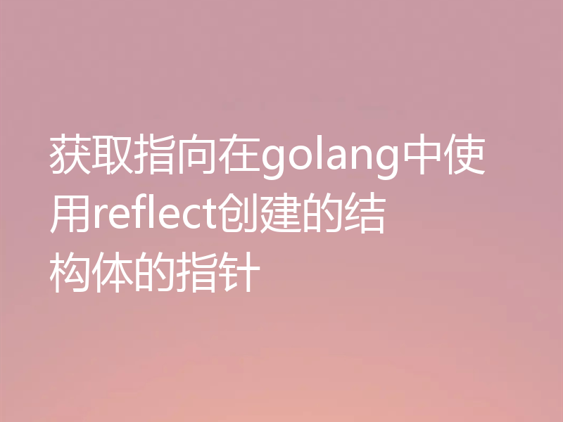 获取指向在golang中使用reflect创建的结构体的指针
