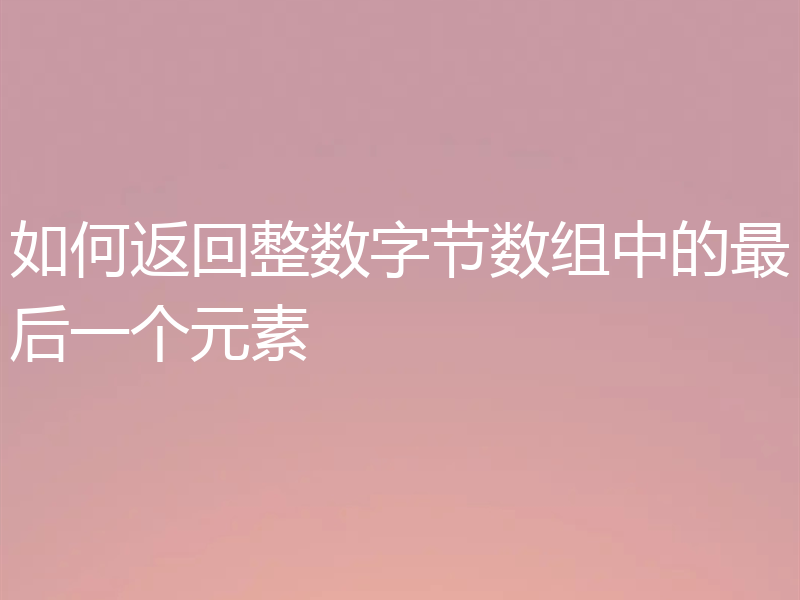 如何返回整数字节数组中的最后一个元素