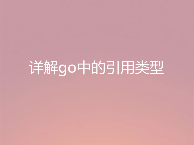详解go中的引用类型