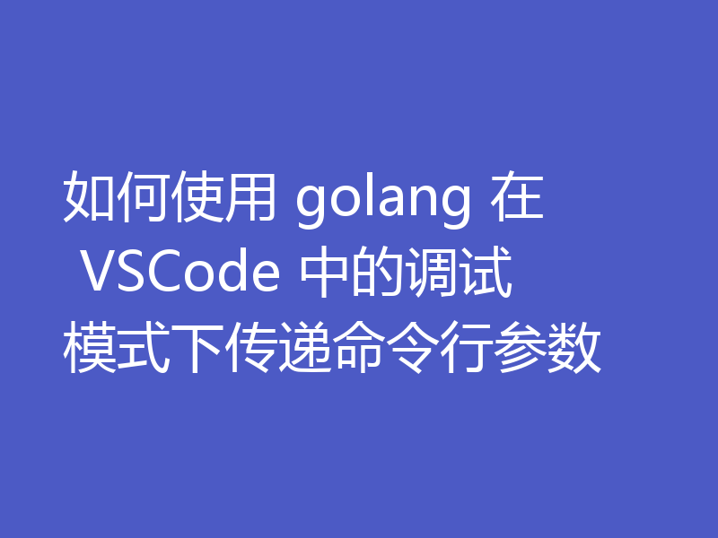 如何使用 golang 在 VSCode 中的调试模式下传递命令行参数