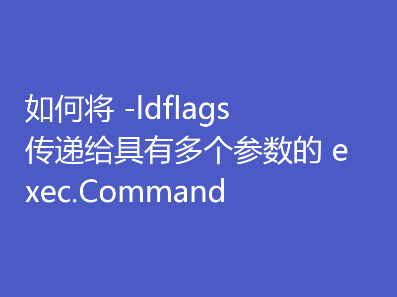 如何将 -ldflags 传递给具有多个参数的 exec.Command